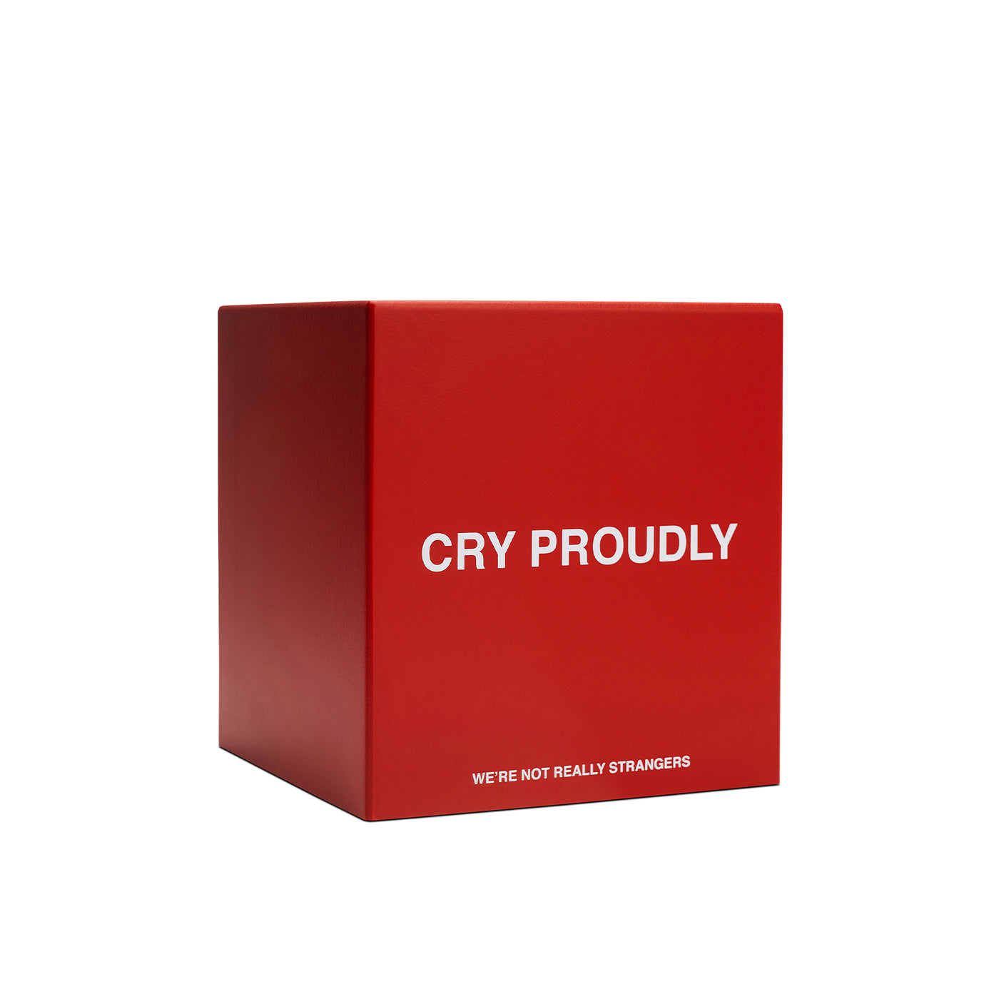 We're Not Really Strangers Cry Proudly Tissue Box Cover
